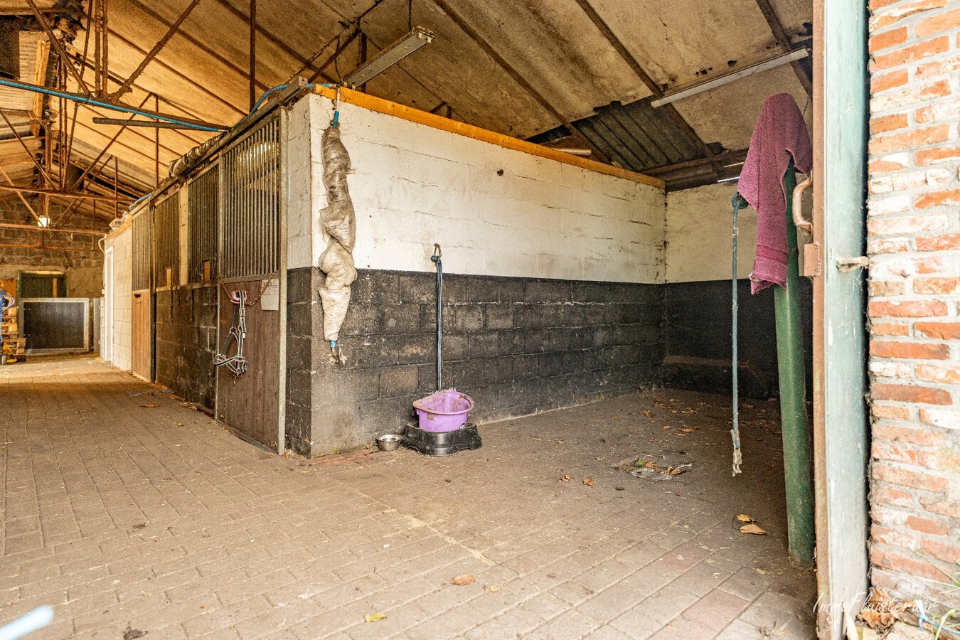 Gerenoveerde woning met praktijkruimte en paardenstal op 9.019 m2 te Balen 