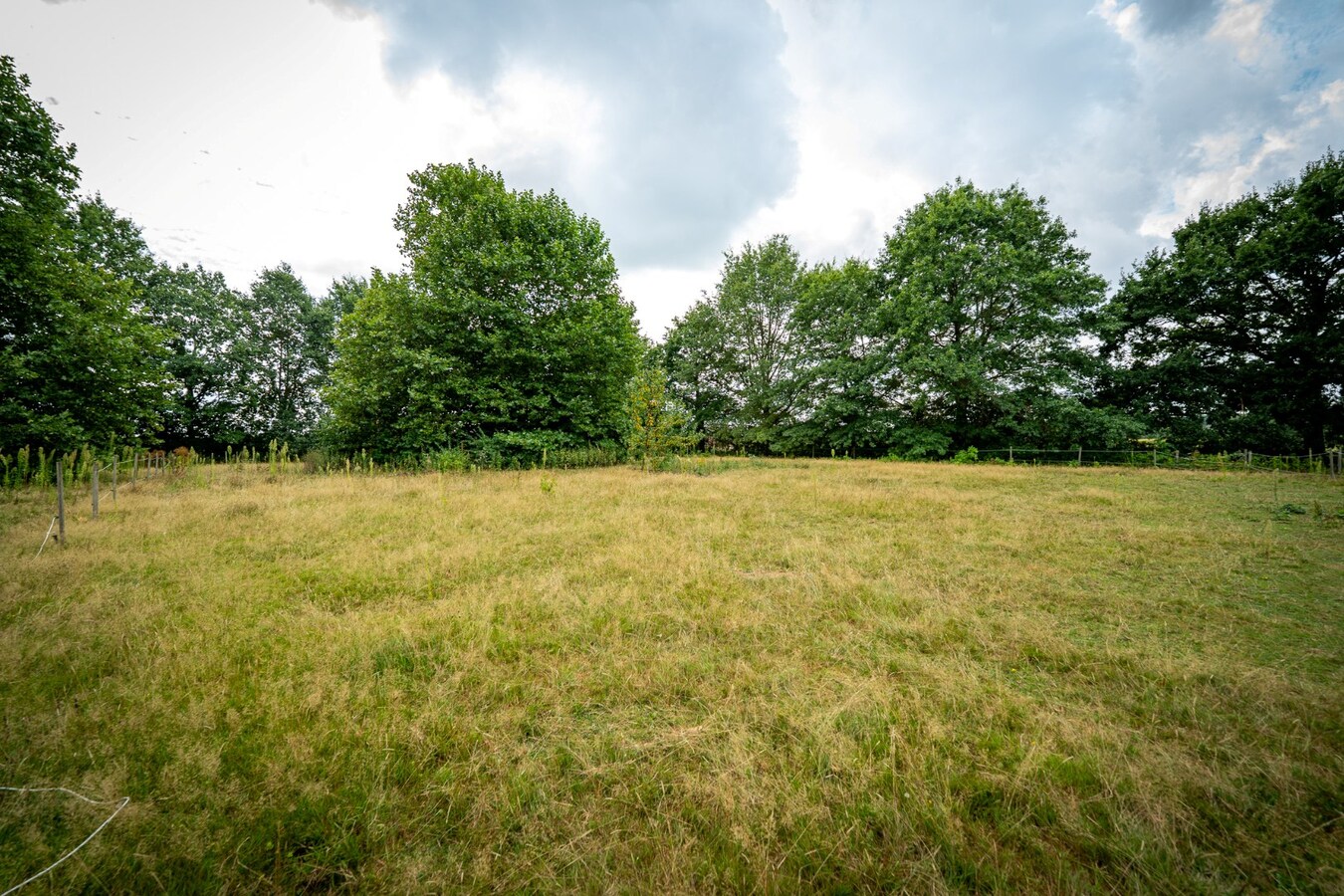Karaktervolle hoeve met weides op ca. 2ha te Herk-de-Stad 