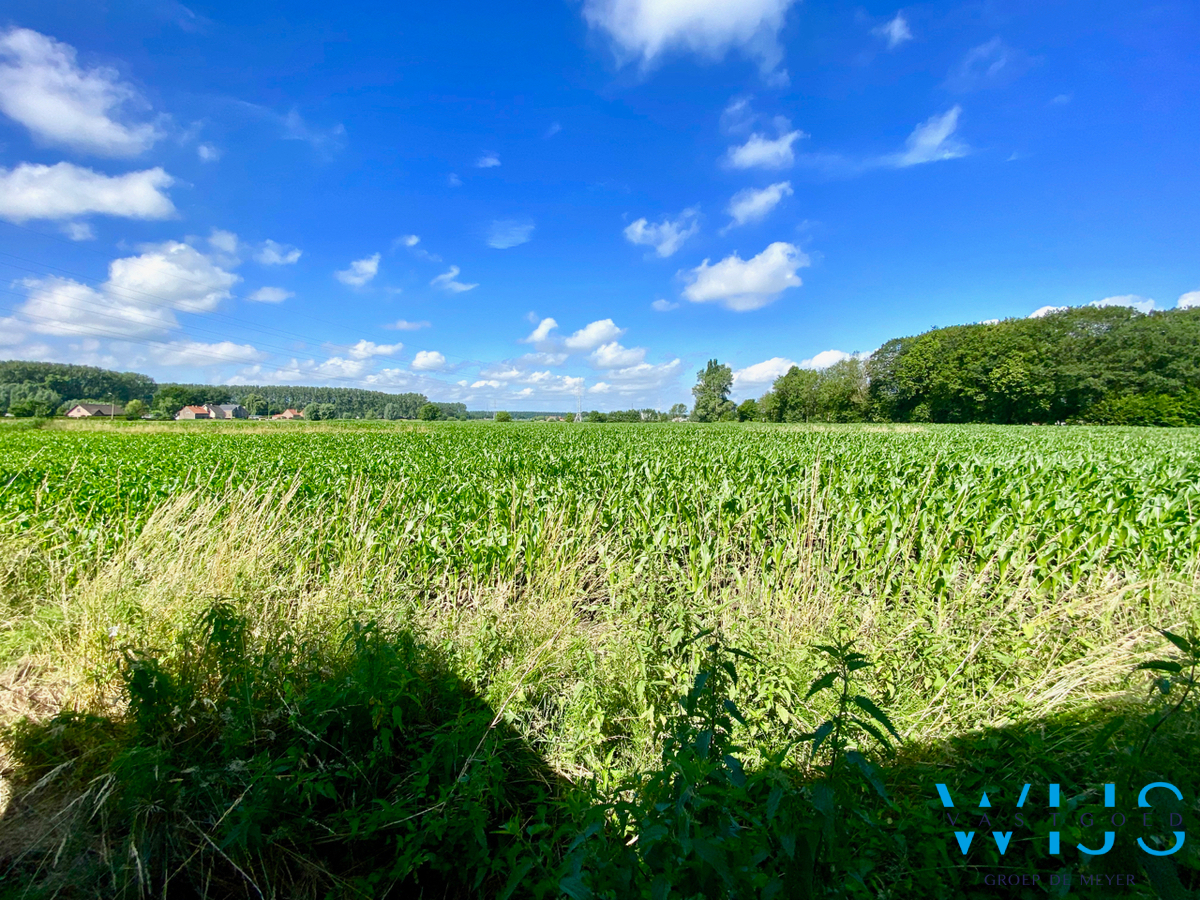 Instapklare en leuke gezinswoning in hartje EEKLO ! 
