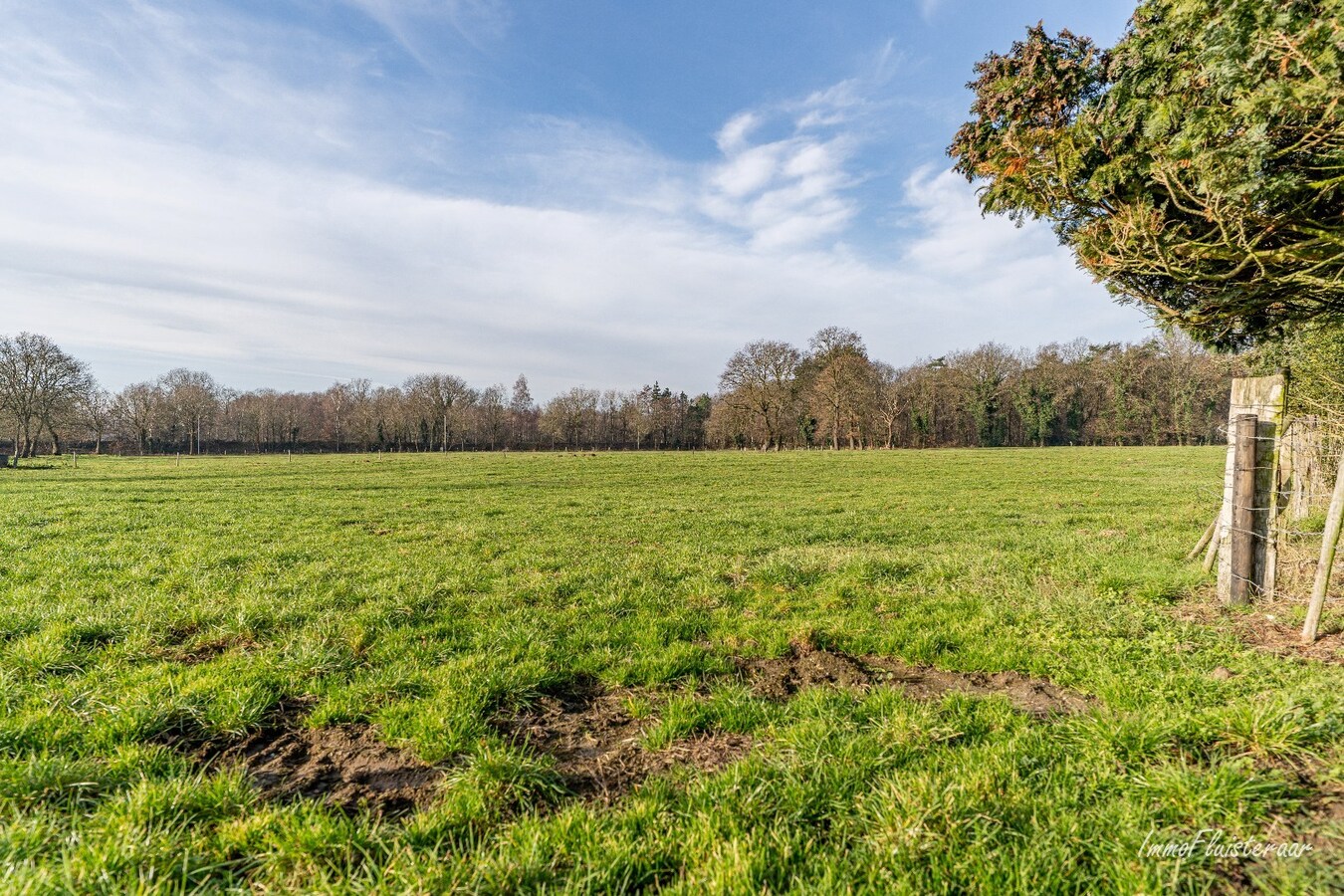 Renovatable farmhouse with stables and pastures on approximately 7 hectares in Hechtel-Eksel. 