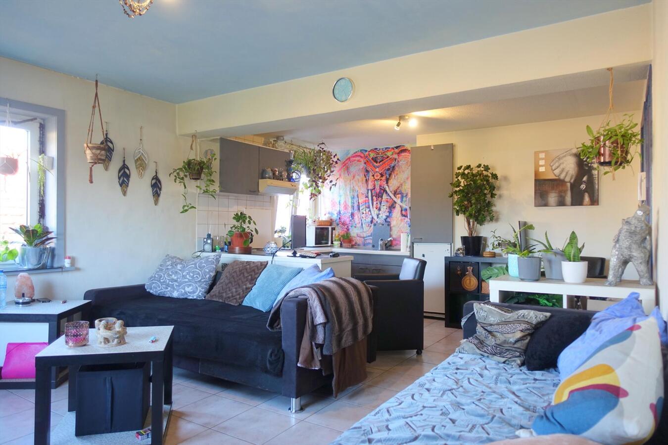 Knus éénslaapkamerappartement op wandelafstand van hartje Brugge 