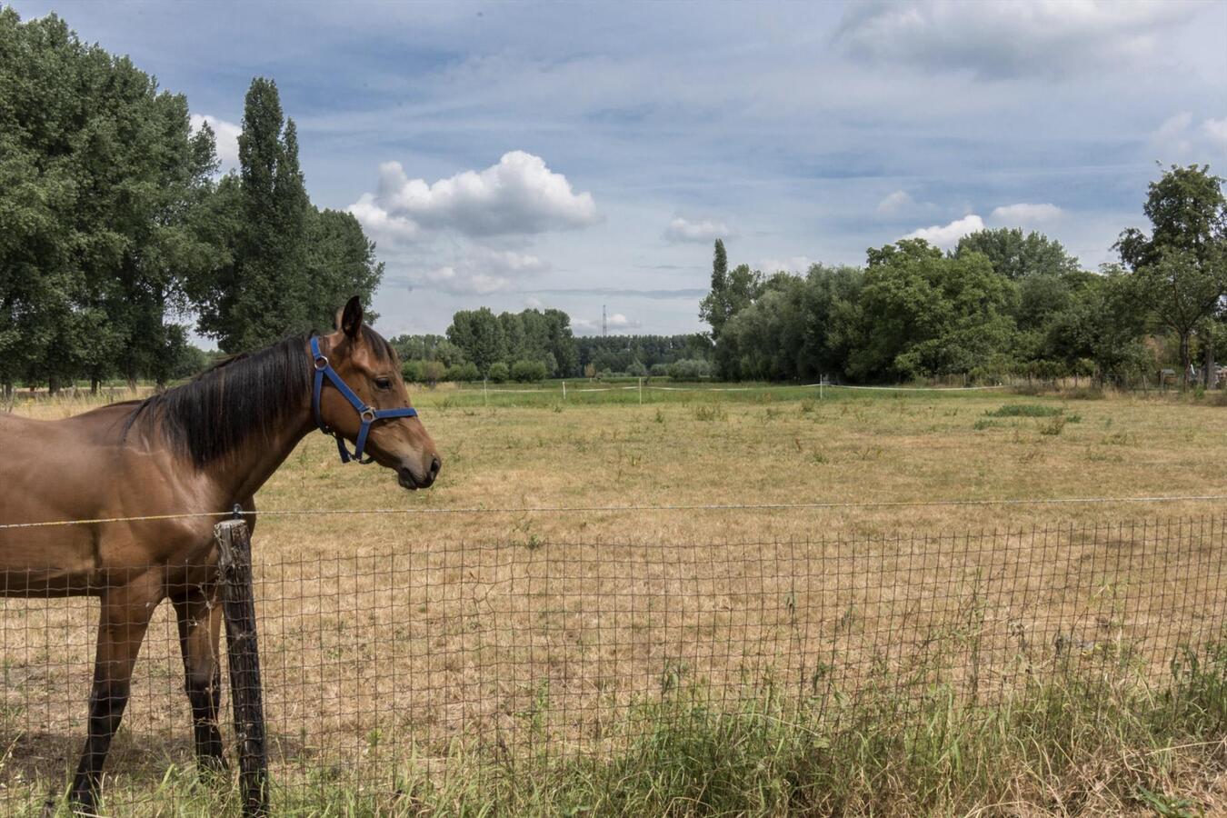 Bouwlot met uniek open zicht! 966m2 
