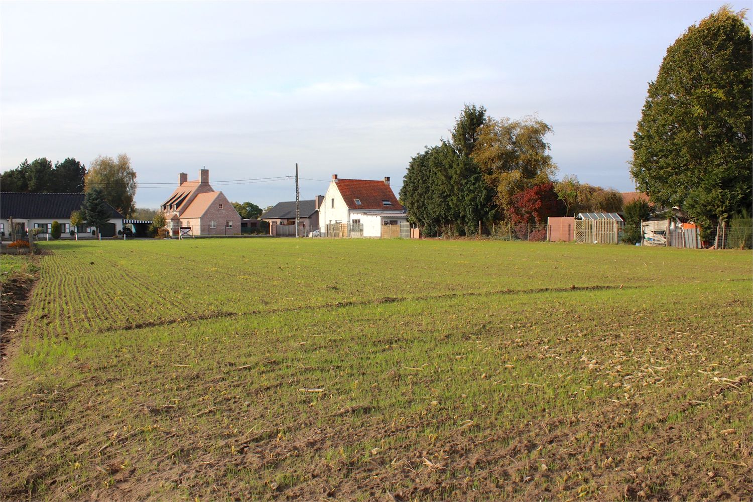 Prachtig perceel bouwgrond te Kruishoutem 