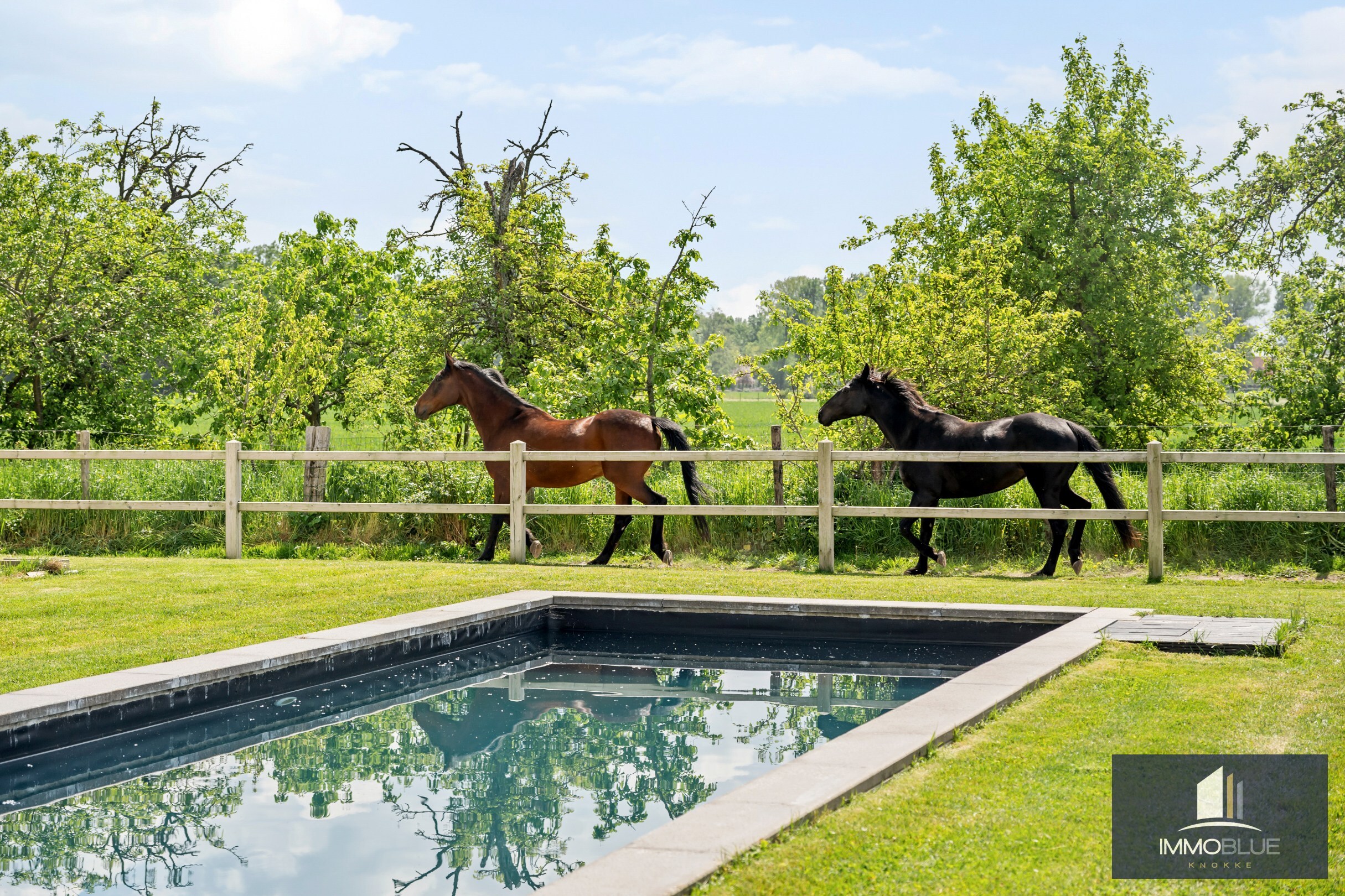Domaine idylliquement situé avec maison rénovée, espace professionnel et installations équestres étendues. 