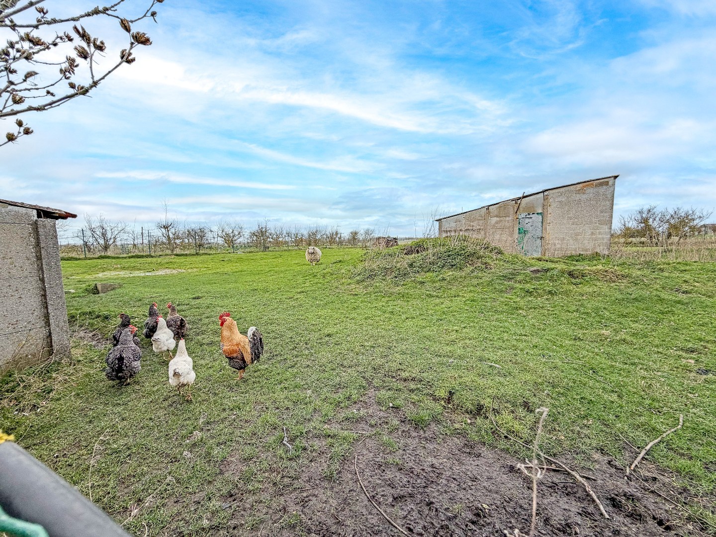 KIJKDAG ZATERDAG 21/03 VAN 10U TOT 12U! 