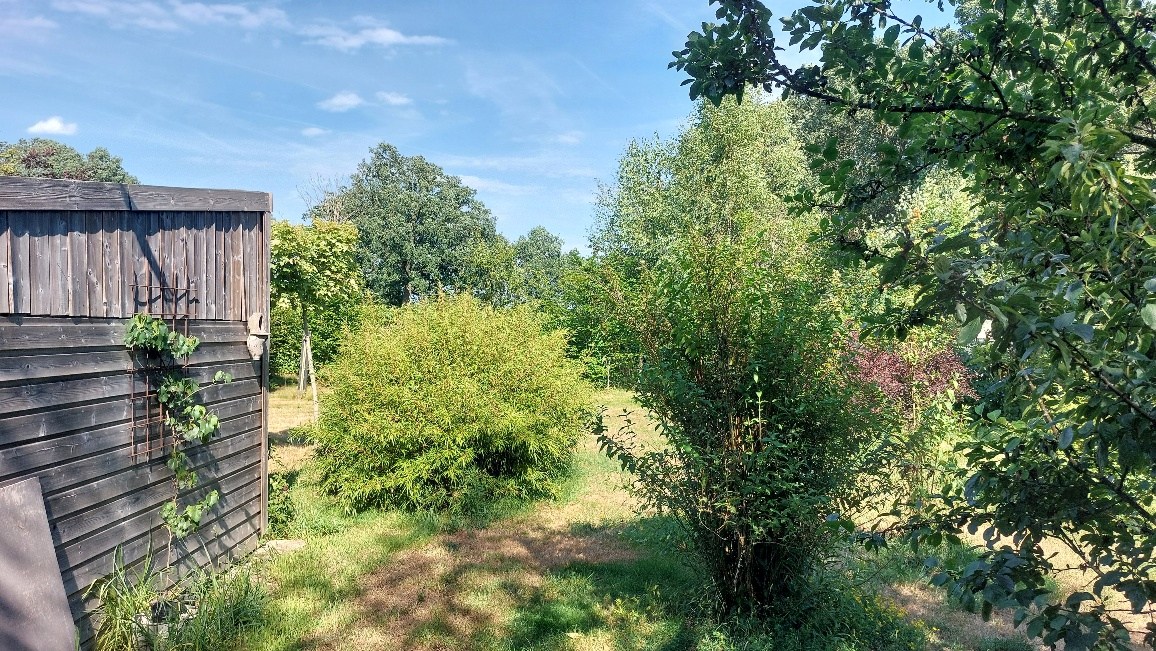 Bos te koop in Weert