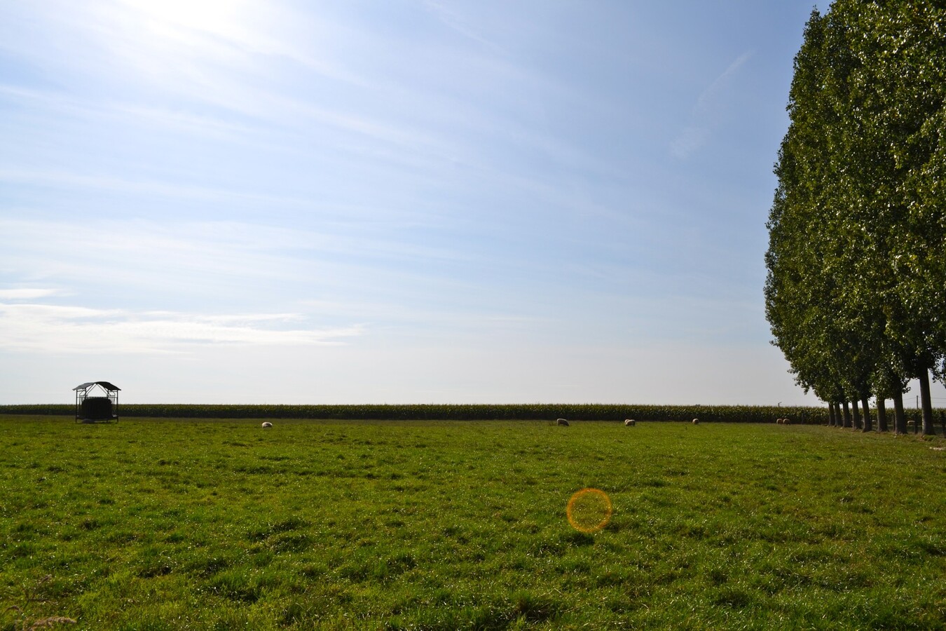 Property sold in Bogaarden