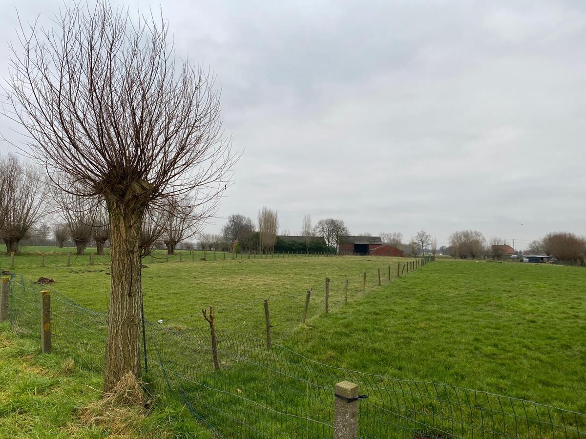 Stuk weiland te Roksem 