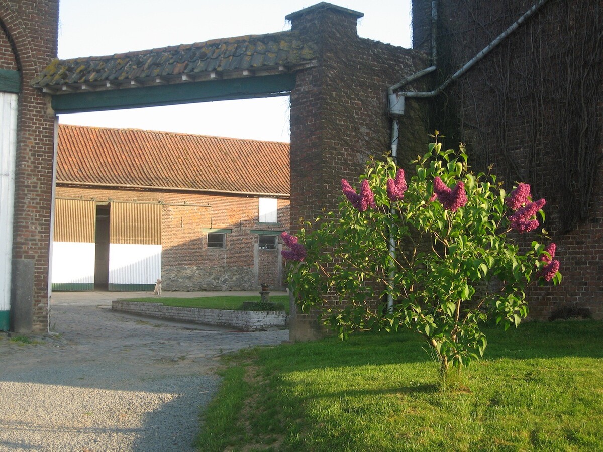 Property sold in Bogaarden