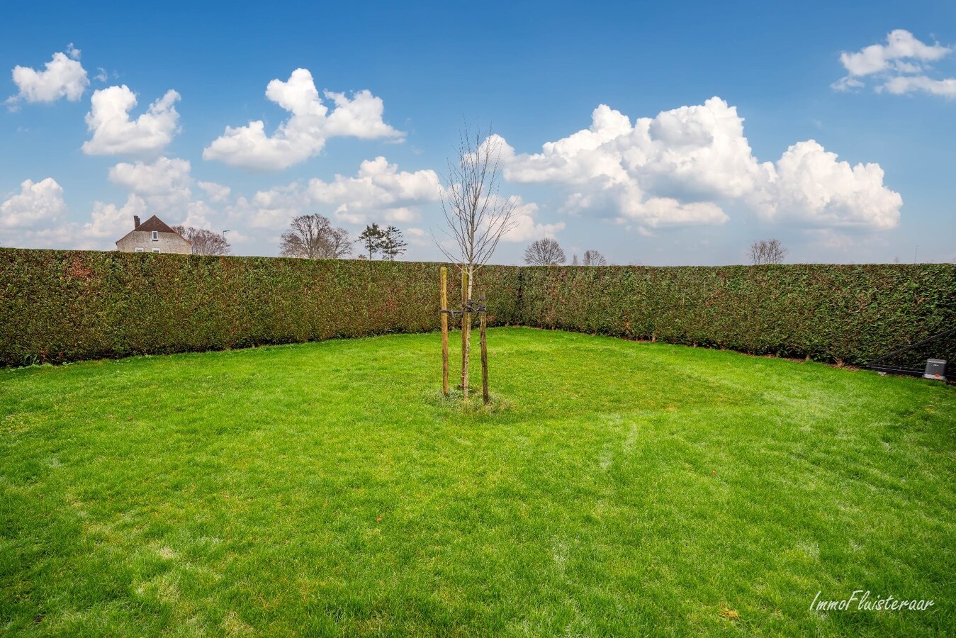 Ferme prête à l'emploi avec écuries sur environ 45 ares à Kinrooi 