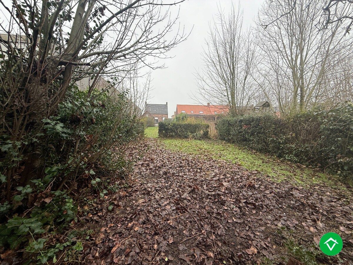 Ruime woning met 5 slaapkamers, garage en diepe tuin te Houthulst 