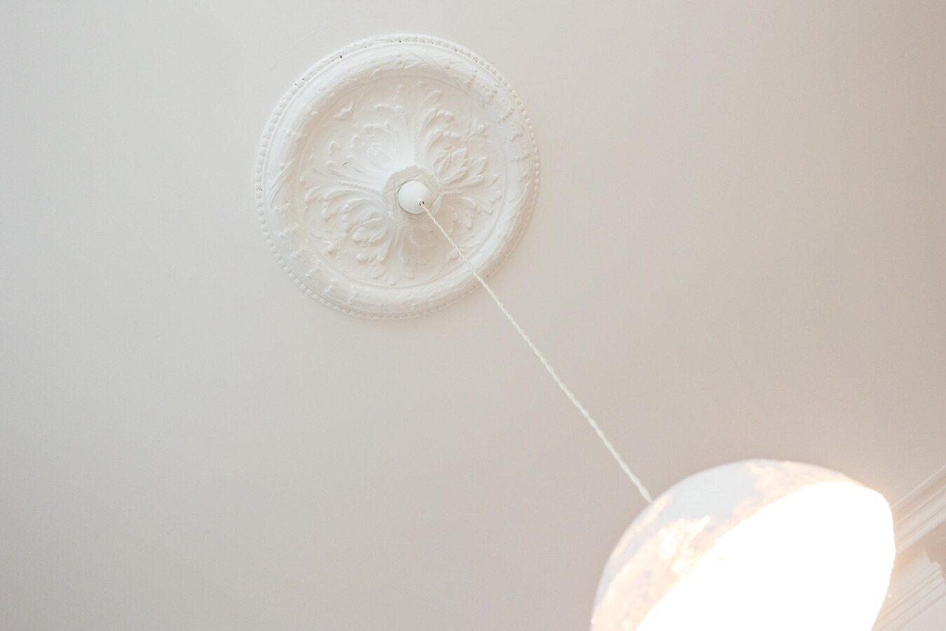 Gerenoveerde herenwoning met stadskoer in de Haringrodewijk! 