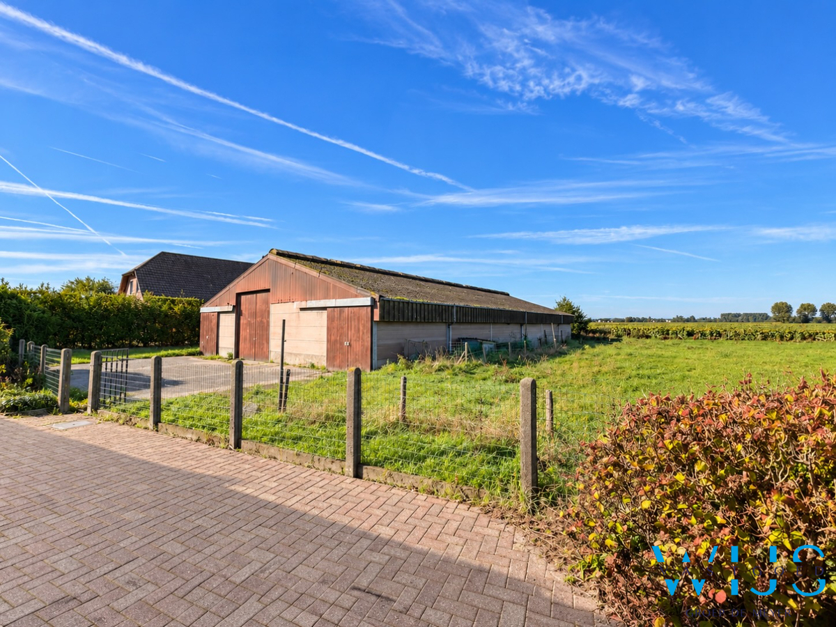 Open bebouwing met ruime stal in Assenede ! 