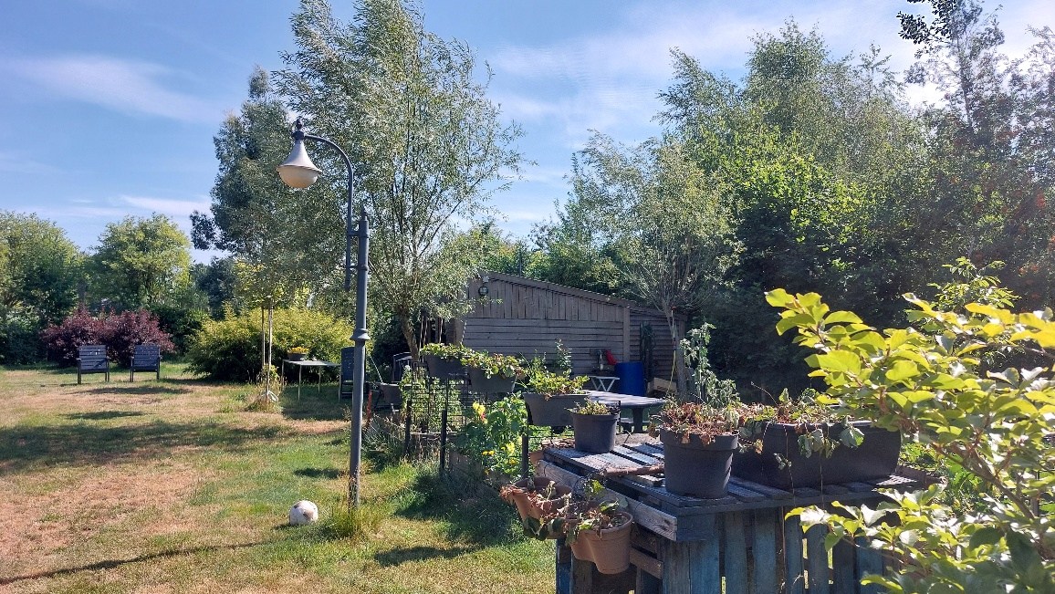 Bos te koop in Weert