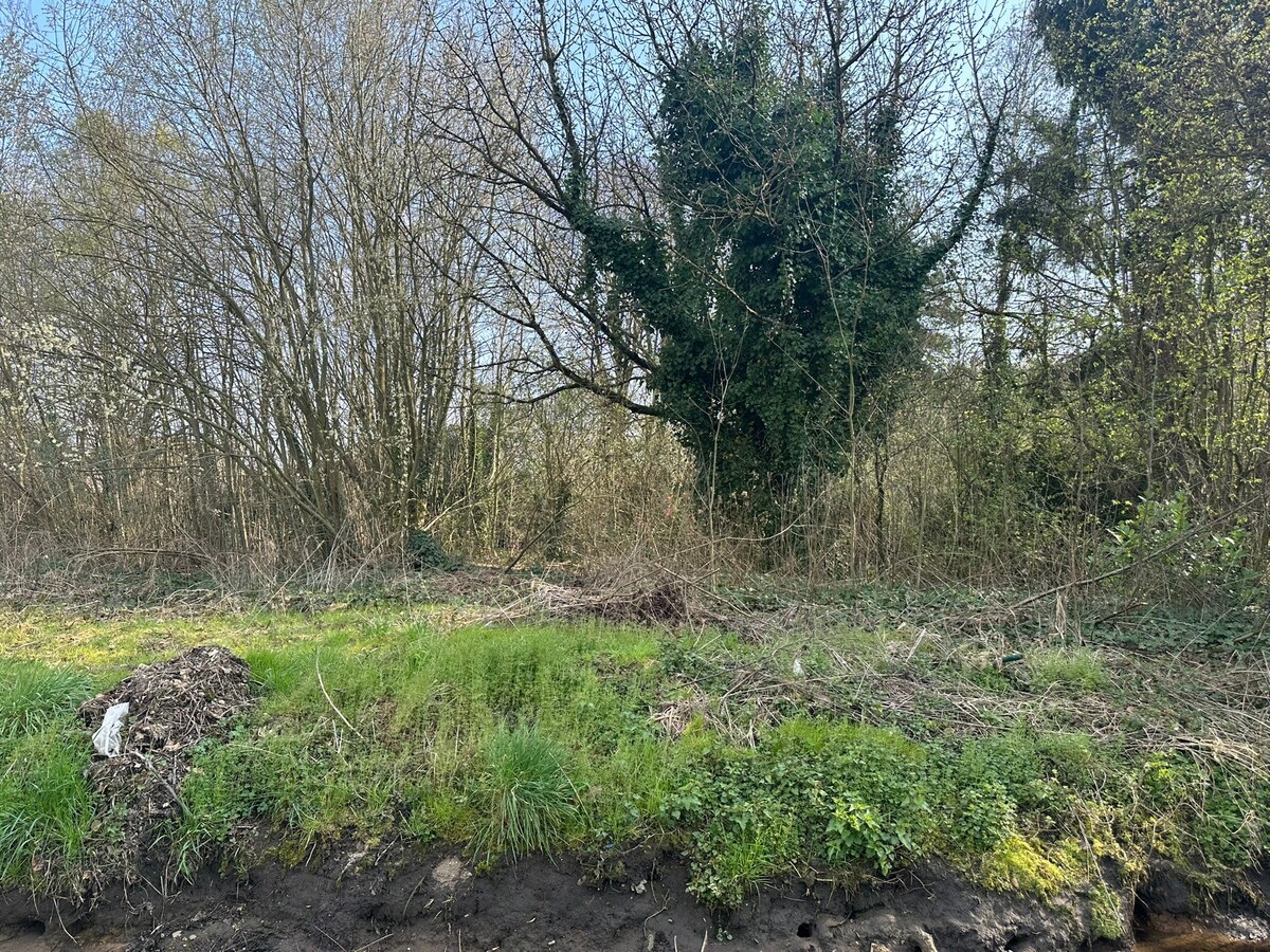 Lichtrijke, eigentijdse nieuwbouwwoningen 