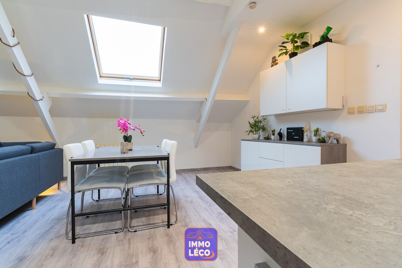 Appartement rénové, dans le centre, IDEAL investisseurs ! 