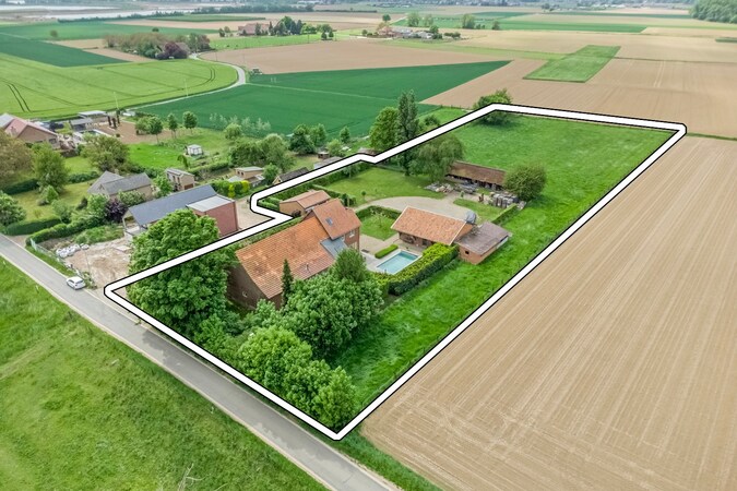 Verkocht boerderij - Maaseik