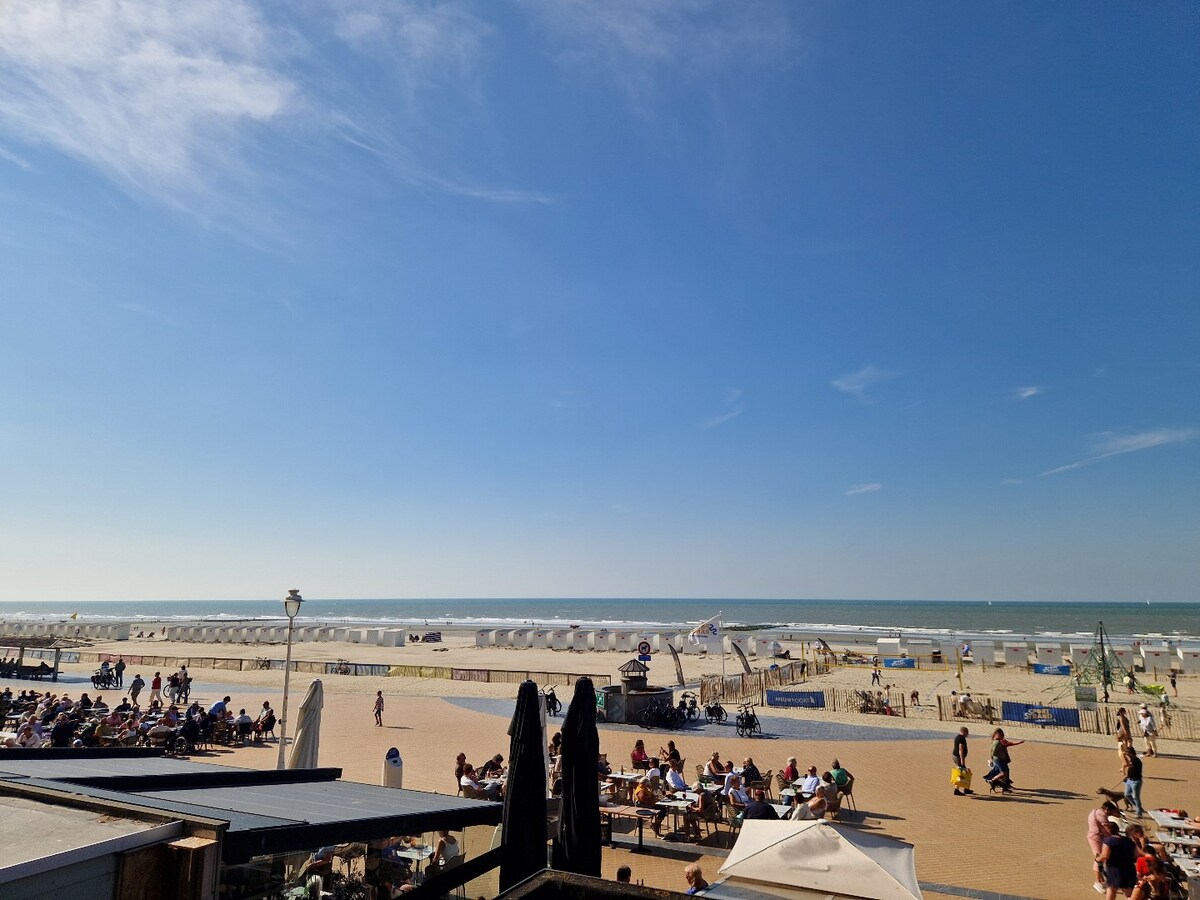 Renovated apartment for rent on the Zeedijk in Nieuwpoort. 