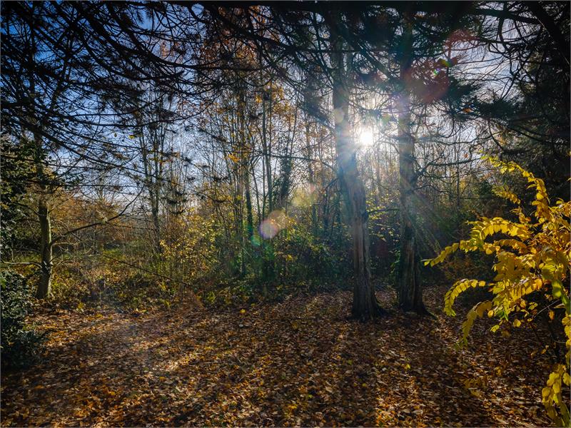 Appartement met prachtuitzicht 
