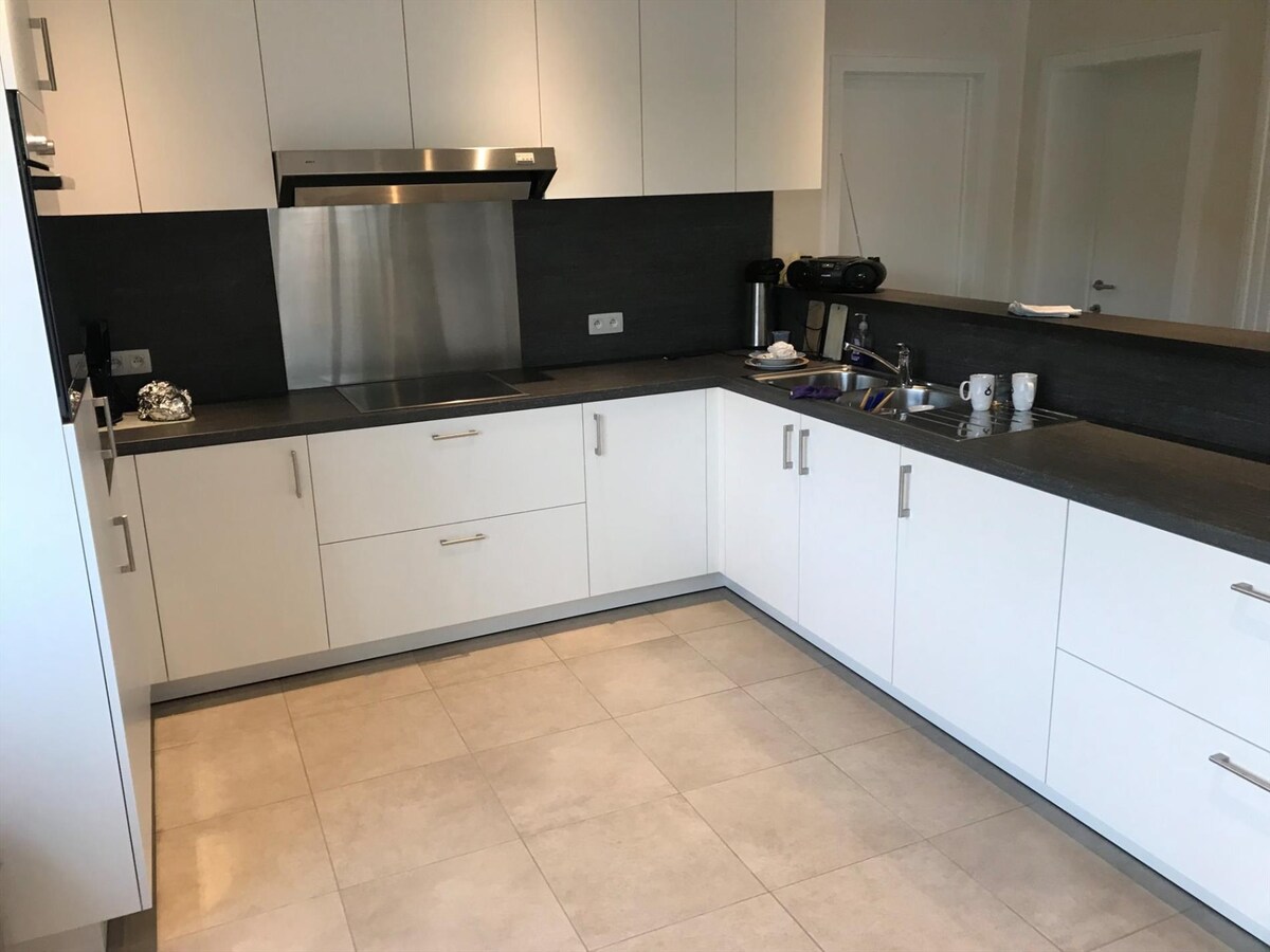 Uiterst ruim, energiezuinig appartement met groot terras 