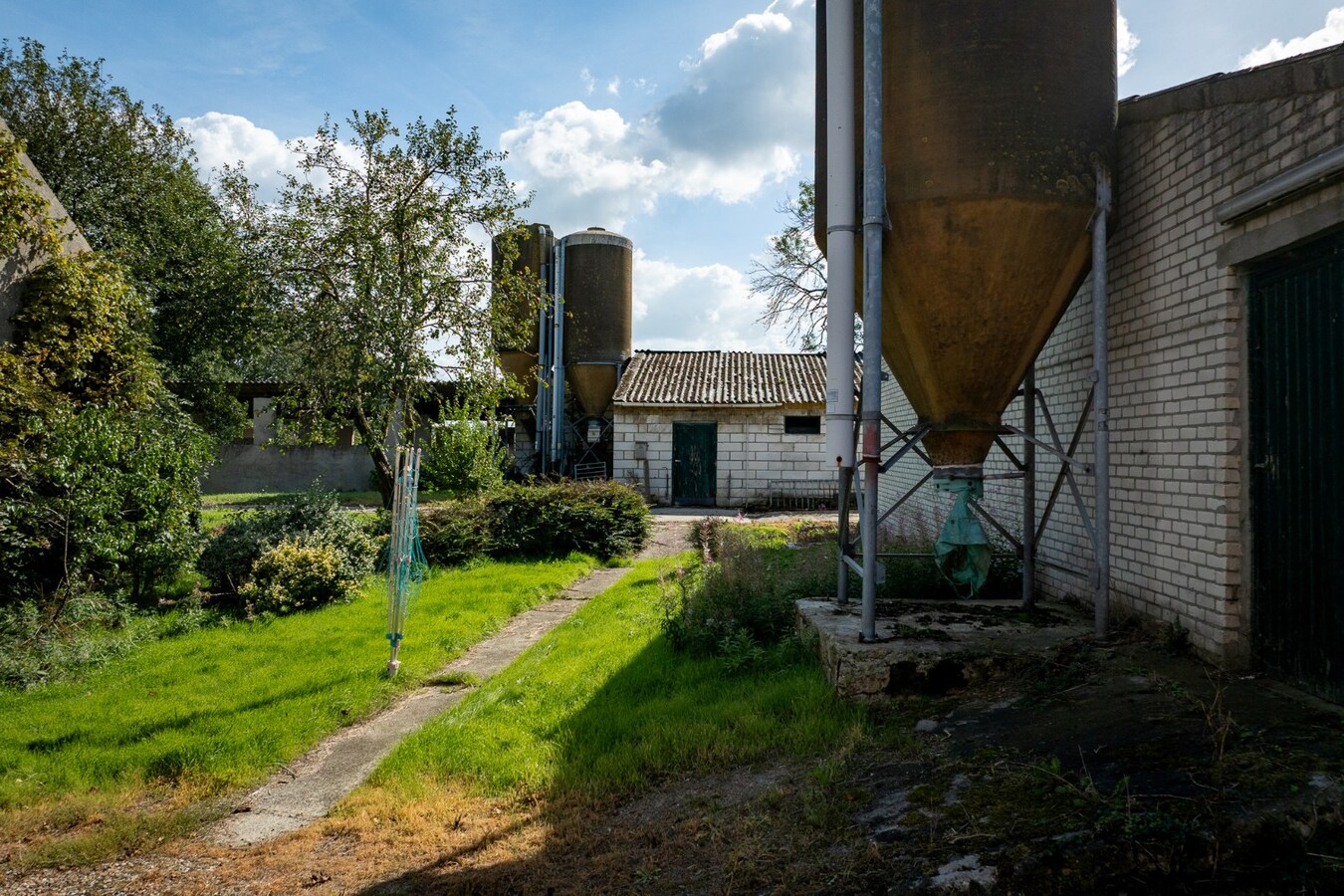 Hoeve met stalgebouwen op ca. 1ha te Bree 