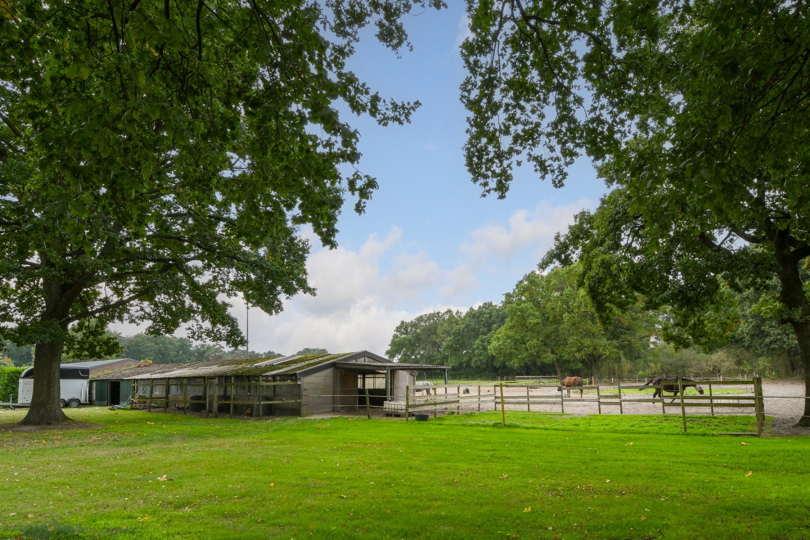 Vrijstaand woonhuis met inpandige garage, stal met 2 paardenboxen, vrijstaande inloopstal en verlichte zandpaddock met longeercirkel op een perceel van ruim 18.500 m2. Ideaal voor paardenliefhebbers. 
