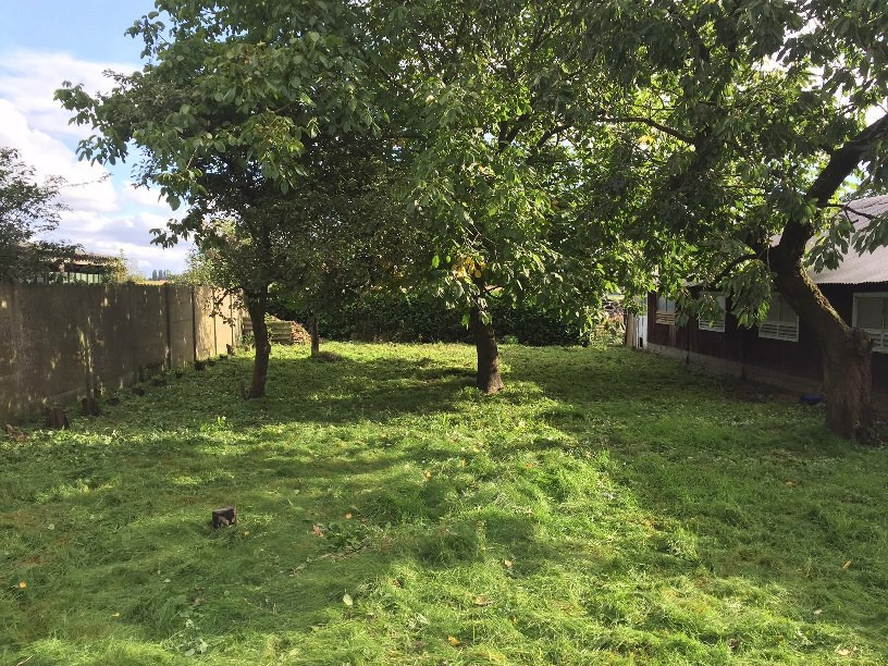 Te renoveren woning met loods en weide op 7.327m² te Zele 