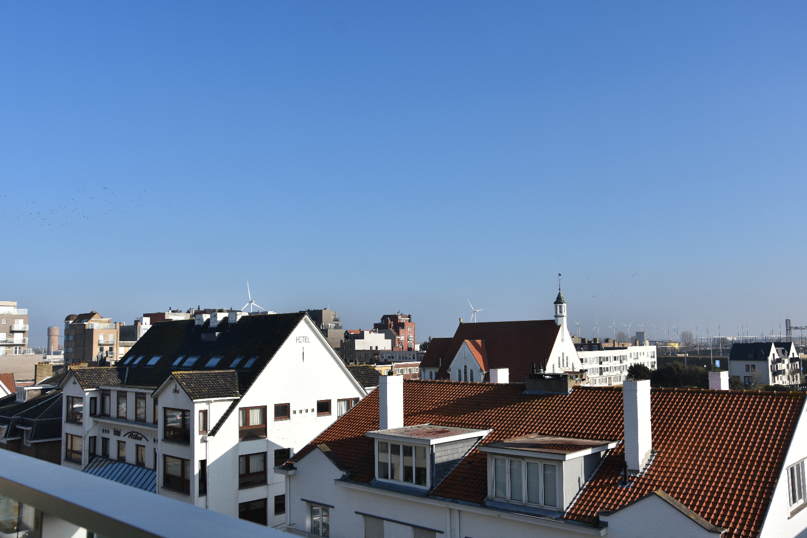 ruime studio met zicht op hinterland 