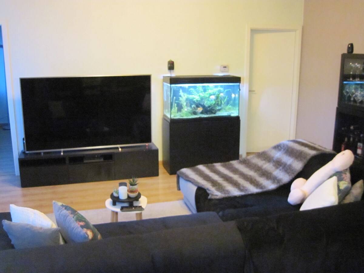 Loft-appartement. Geen vaste kosten. 