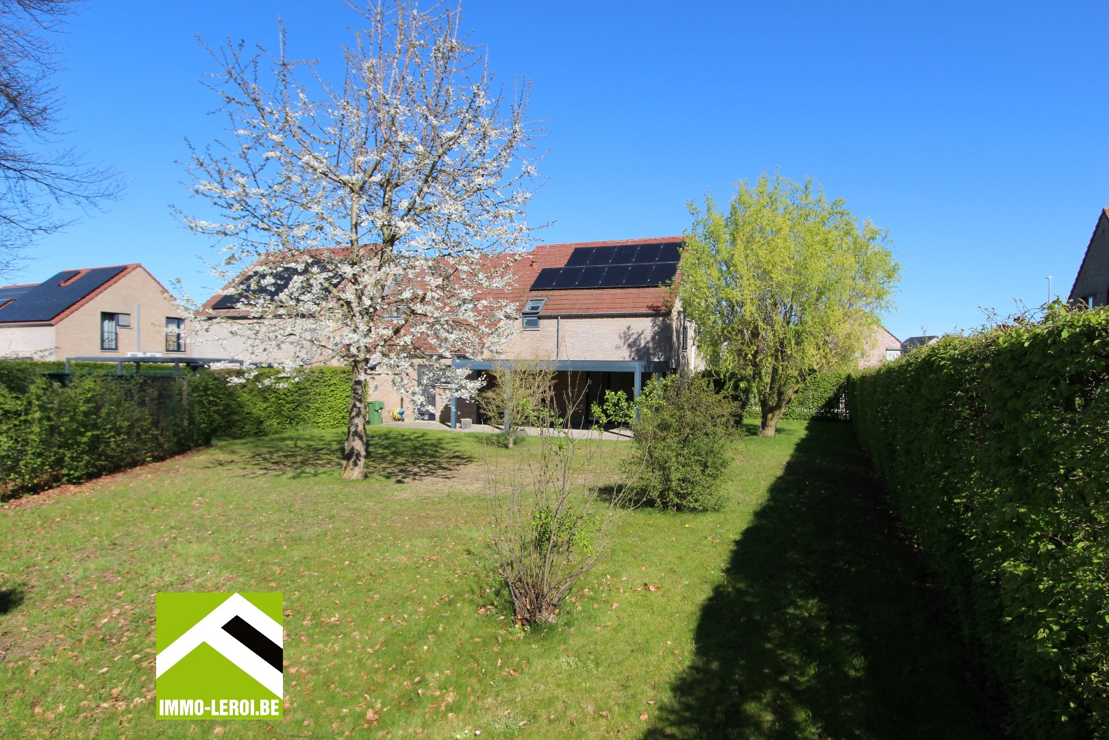 Pruimelarenstraat 39 Tongeren - tuin