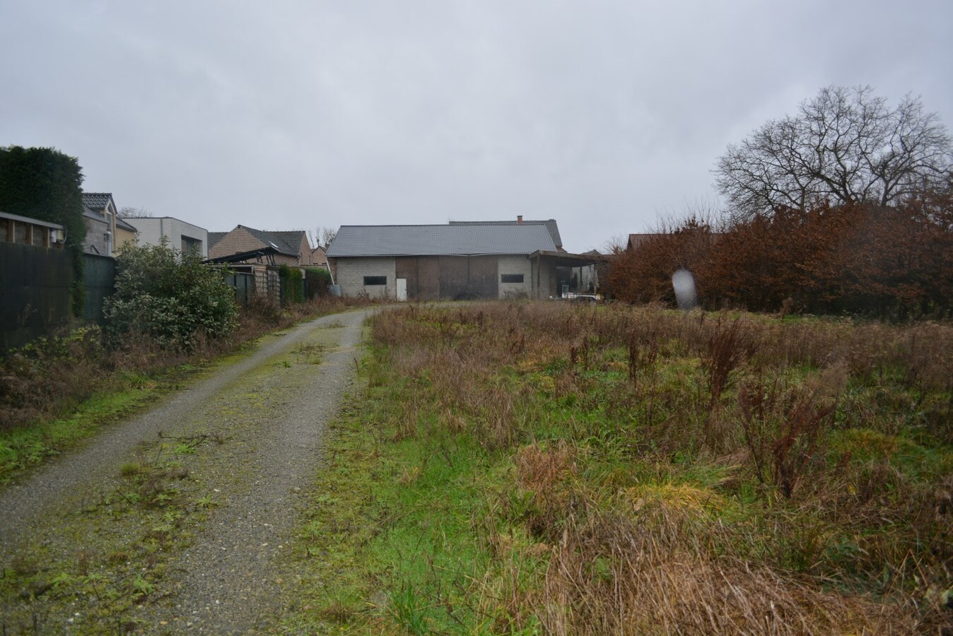 Hedendaagse woning met loods en bijgebouwen op 2.200 m² 