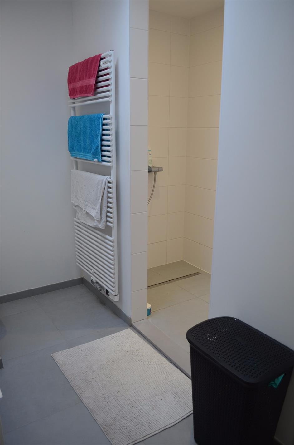 Nieuwbouw woning met 2 slpks, carport en tuin te centrum Maldegem 