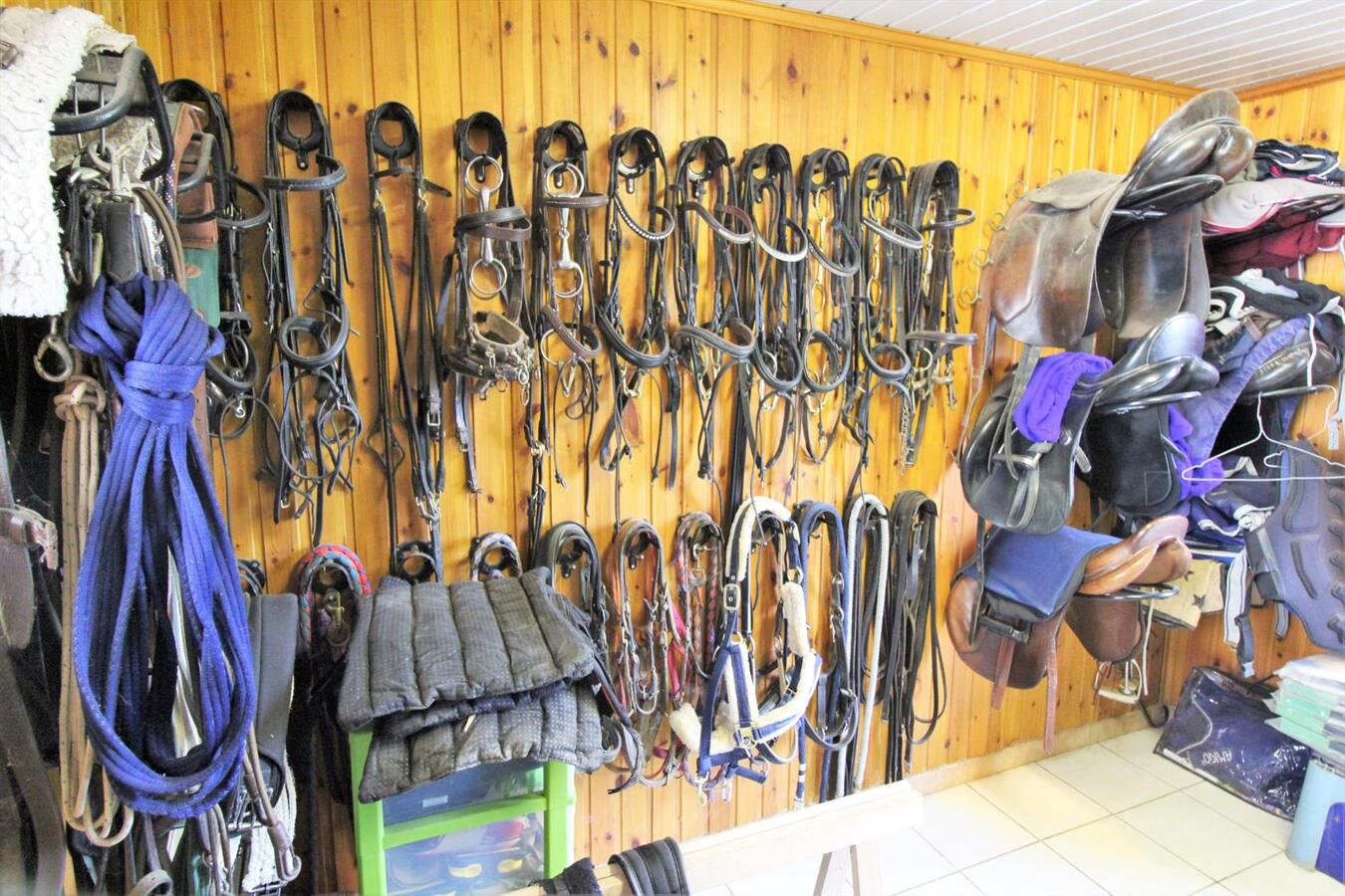 Maison avec centre équestre et appartement supplémentaire sur environ 1.3ha à Hannut (Liège) 