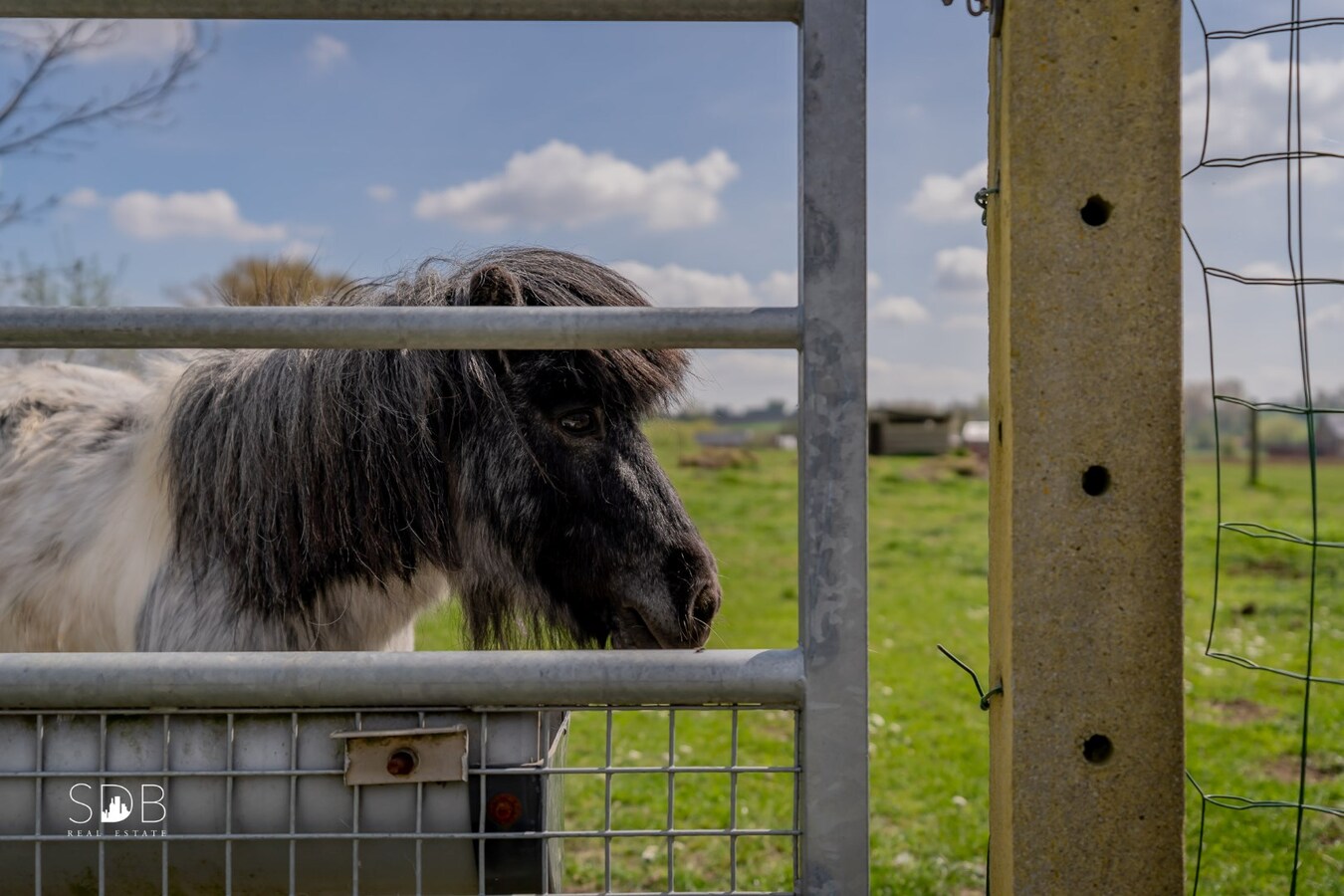 Eigentijdse woning met loods en weiland op 5.780 m². 