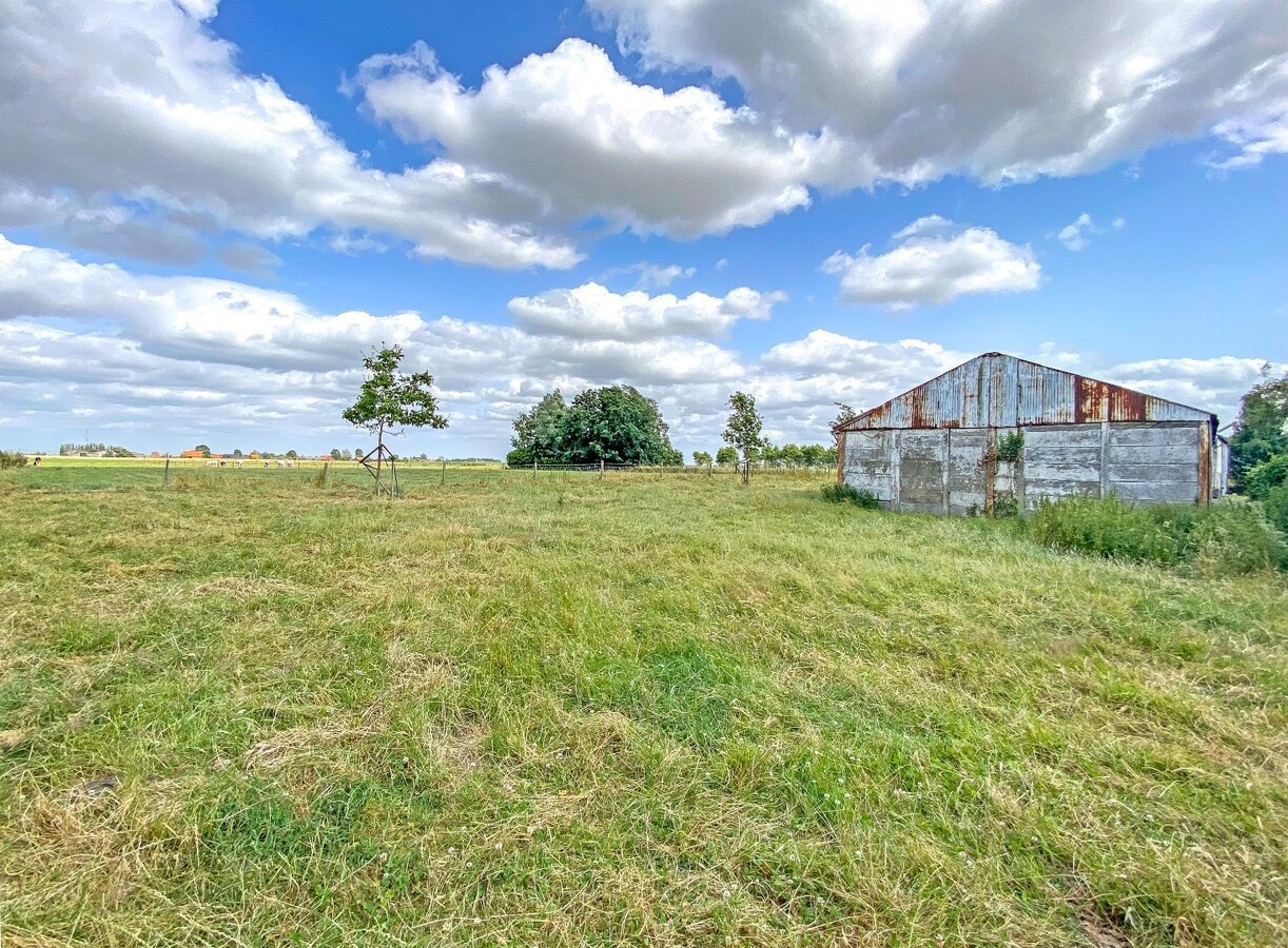Verkocht boerderij - Alveringem