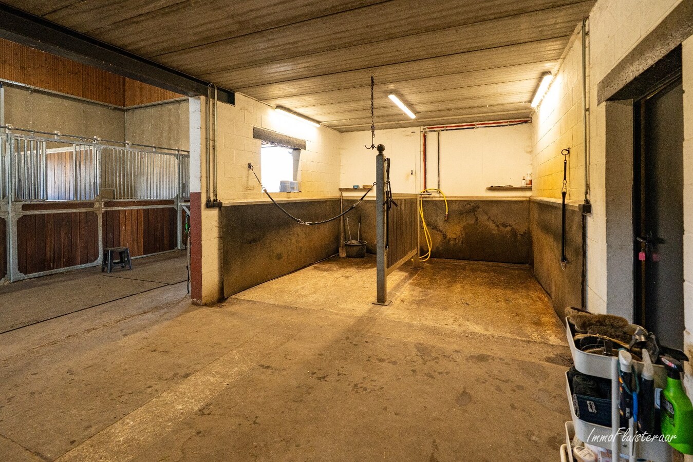 Complete paardenaccommodatie met studio op ca. 1,1ha te Bree 