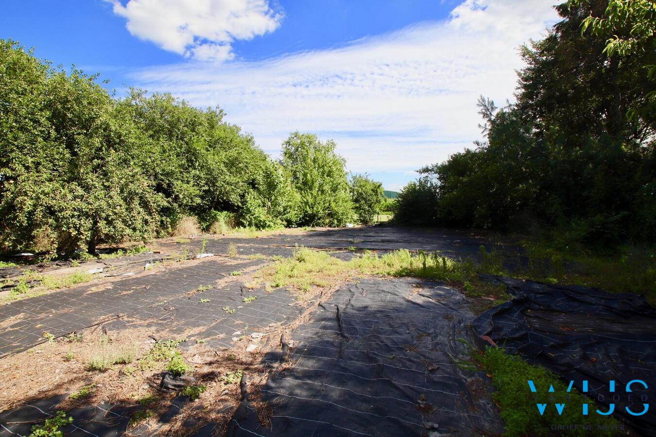 Woonhuis op een perceel van 2080 vierkante te ASSENEDE! 