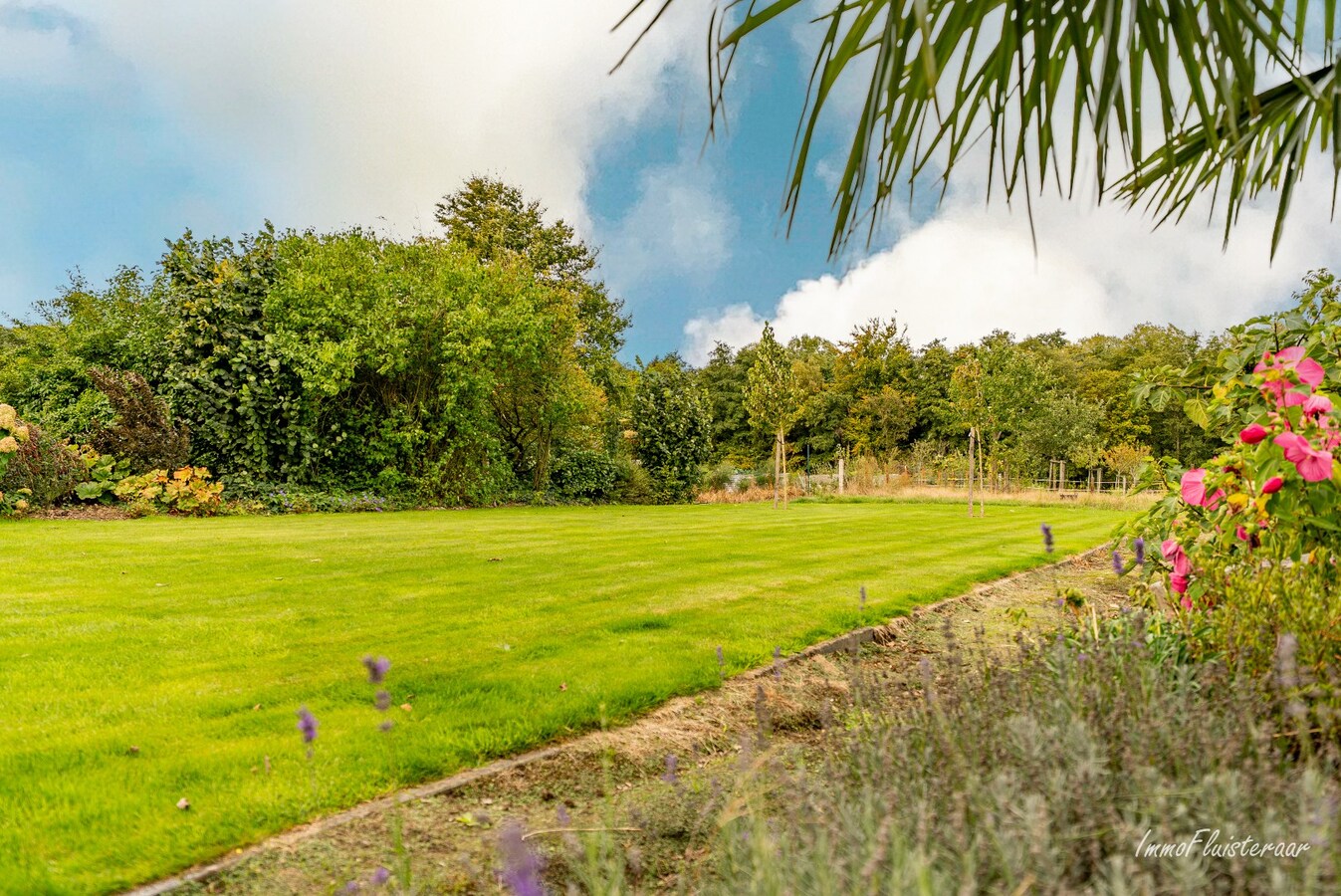 Unieke eigendom met veel potentieel en uitbreidingsmogelijkheden op ca. 4 ha in Gruitrode (Oudsbergen) 