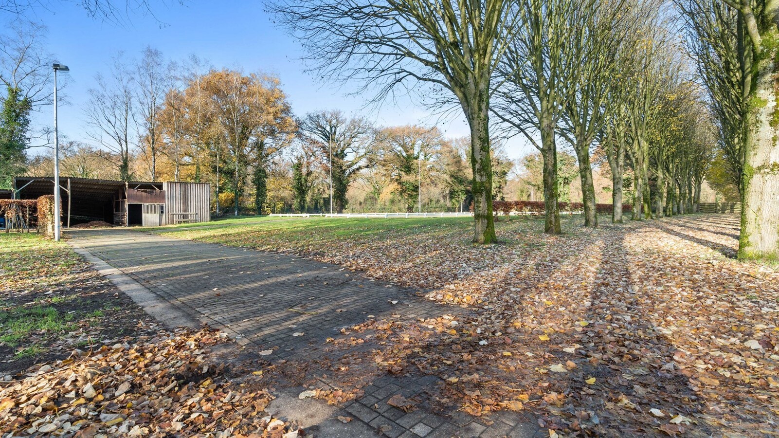 Luxueus landhuis met binnen- en buitenpiste en paardenstallen op een domein van ca. 3 ha te As 