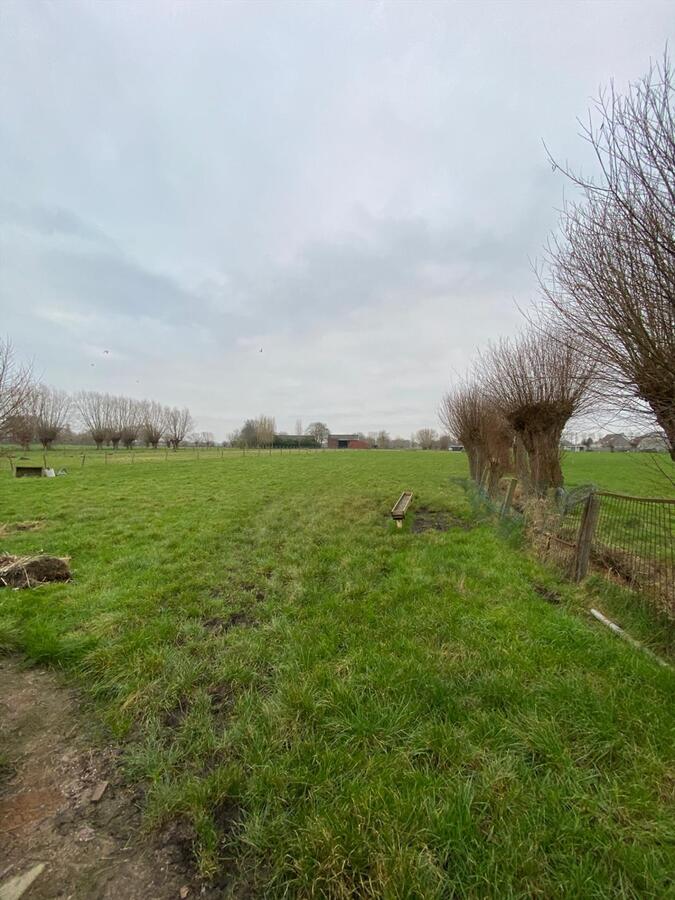 Stuk weiland te Roksem 