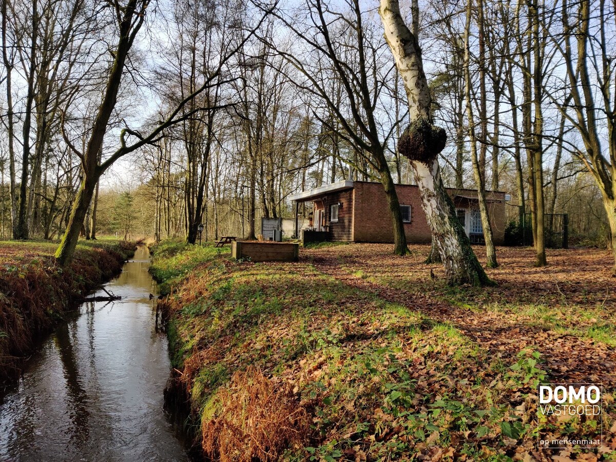 Chalet met aangrenzende vijver en bos. 