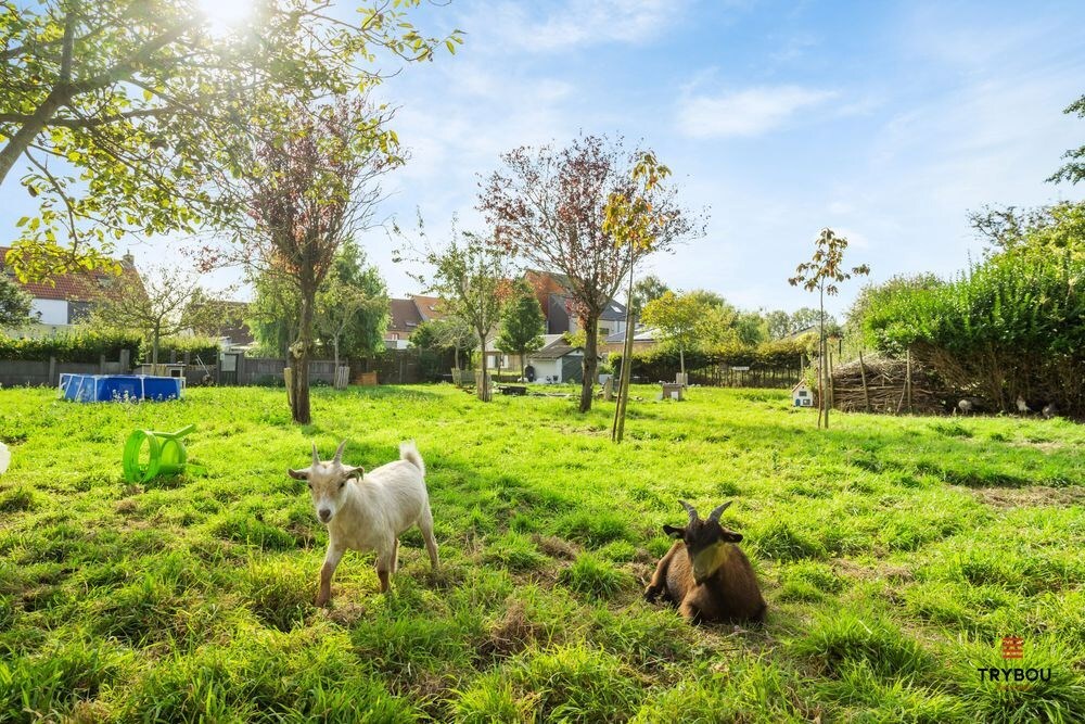 Centraal gelegen starterswoning op ruim perceel van 1658 m² 