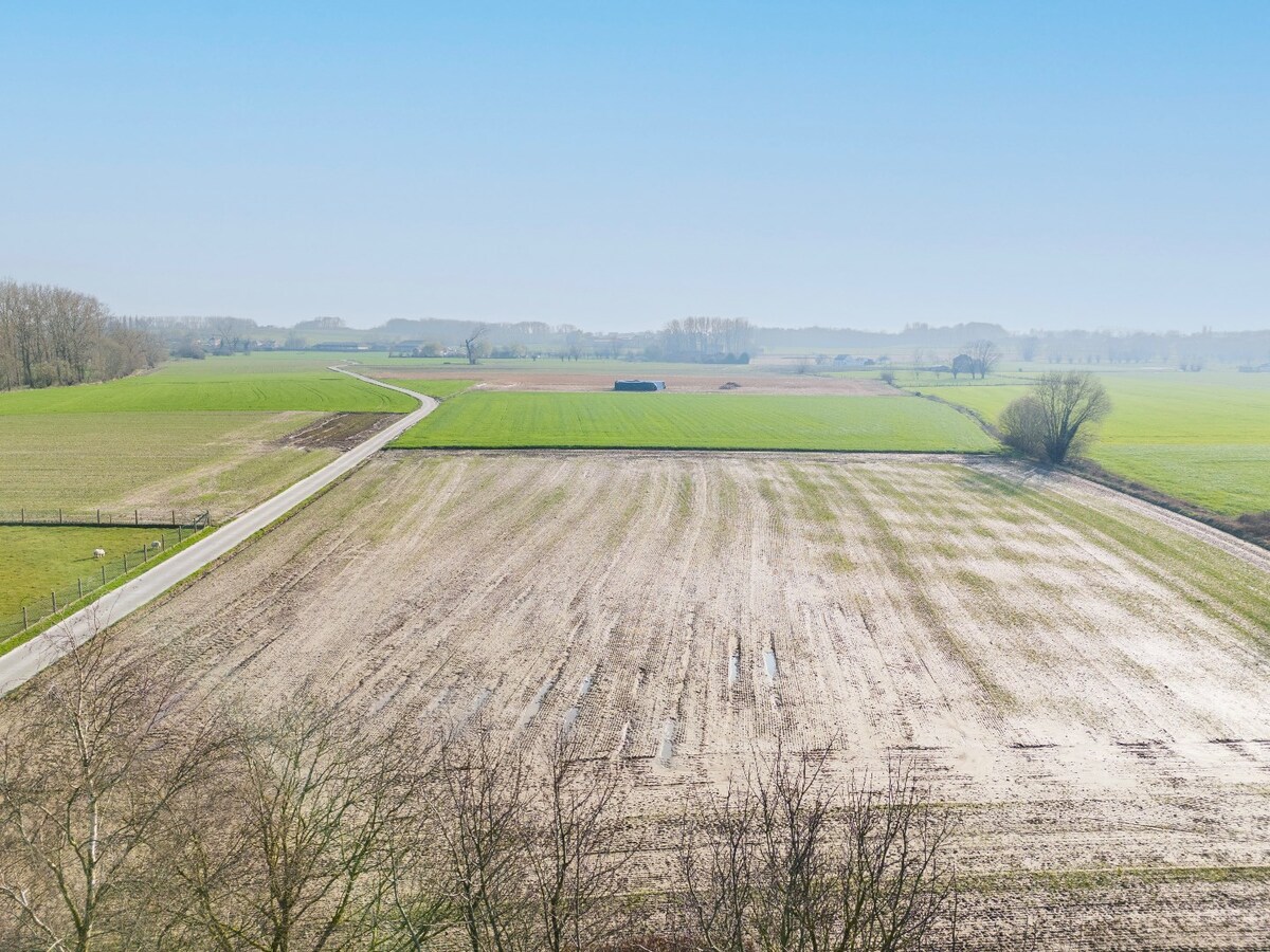 Ruime villa met unieke architectuur en tuin te Tollembeek 