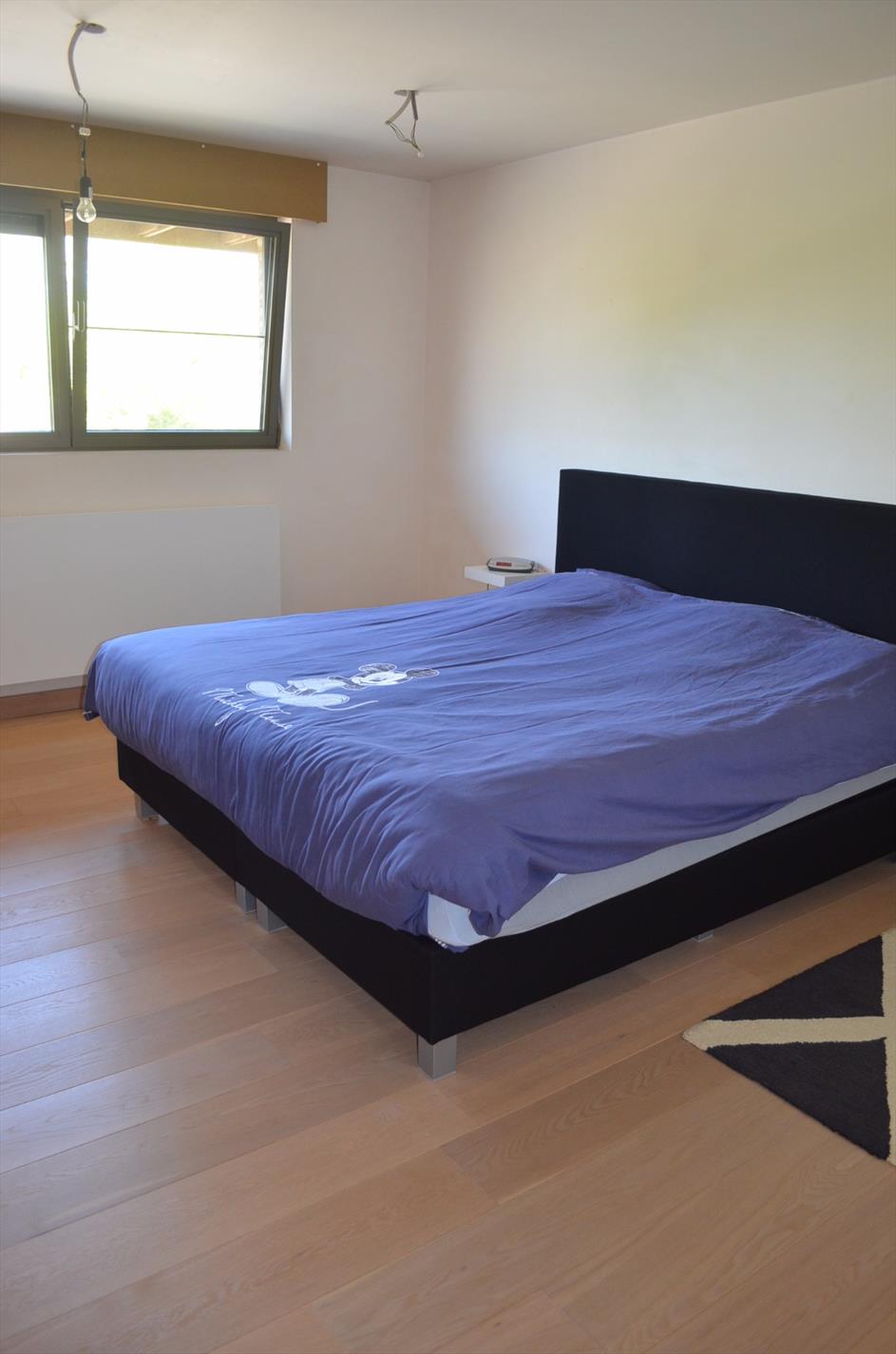 Moderne villa op 728m² met 4 slpks te Maldegem 