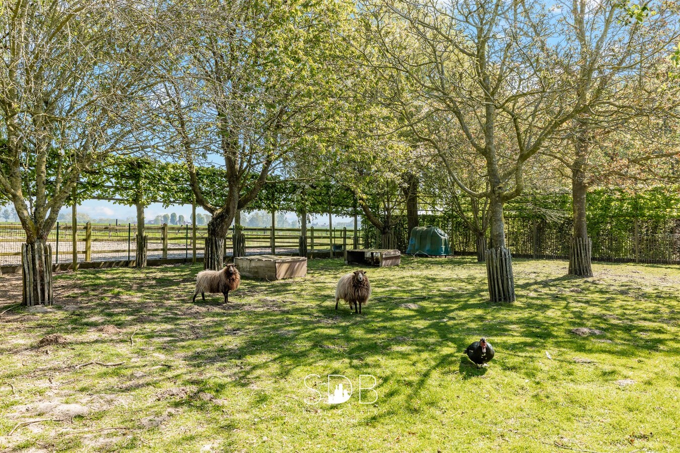 Prachtige stijlvolle woning met bijgebouwen, buitenpiste en graslanden 