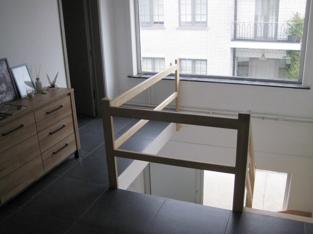 Lichtrijk appartement in Zingem 