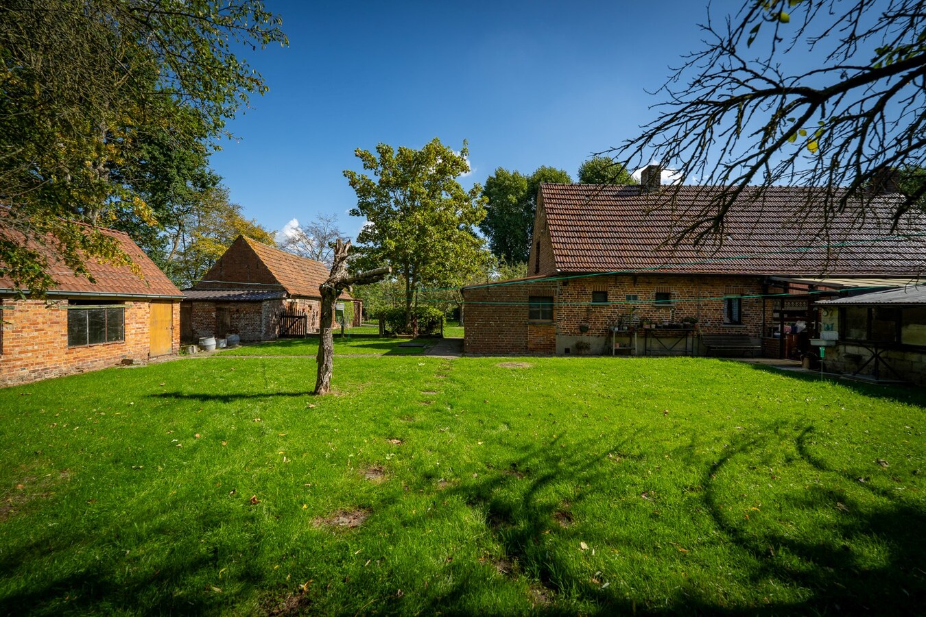 Renovated farmhouse with pasture on approximately 2 hectares in Veldegem. 