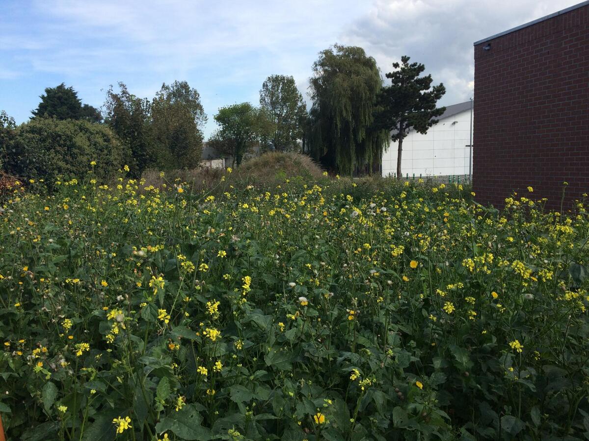 MODERNE HALF OPEN BEBOUWING 