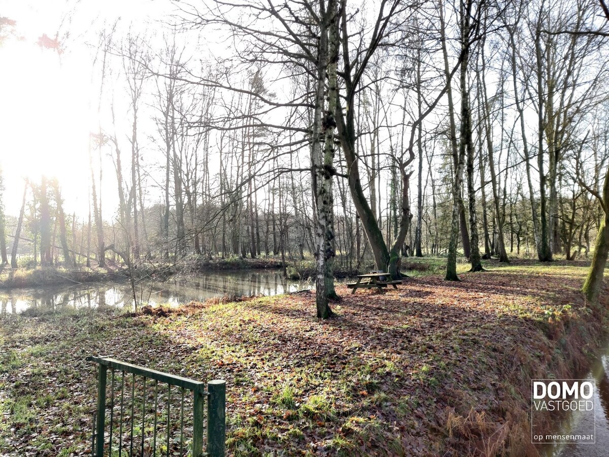 Chalet met aangrenzende vijver en bos. 