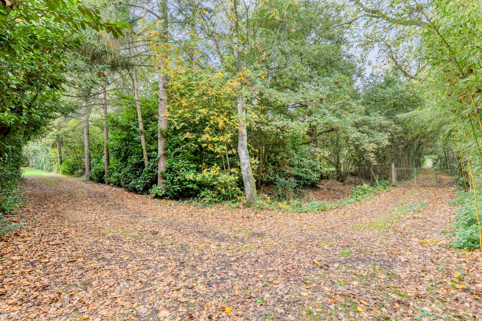 Uniek perceel van 2 ha. en 34 are met 3 prachtige vijvers 